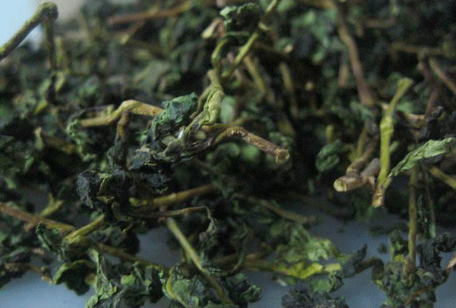 本山是什么茶?本山茶比铁观音如何?