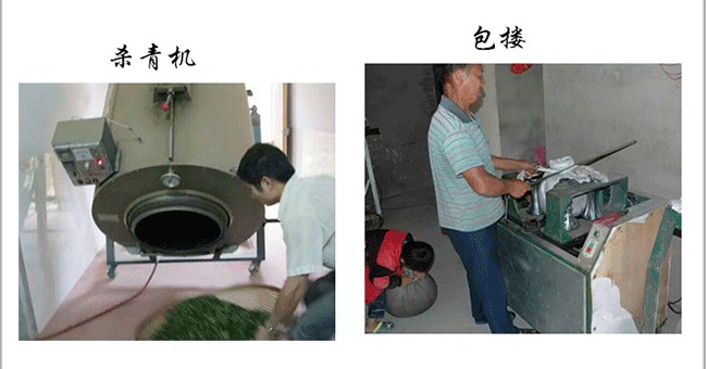 安溪铁观音手工茶的香气是这样来的