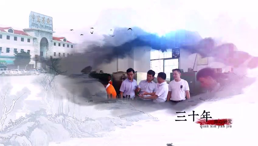 铁观音大师王清海走近